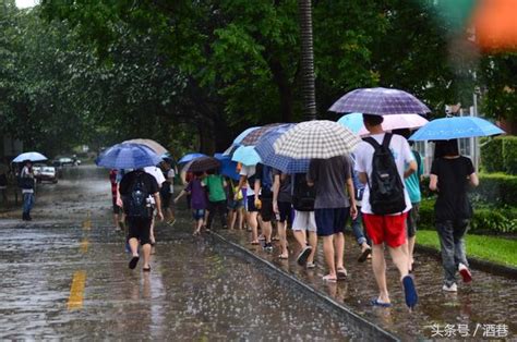 夢見下雨